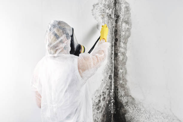 Best 24-hour water damage restoration  in Sparrow Bush, NY